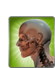 Infografía Infografía