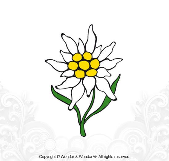 Logotipos - diseno logo edelweiss