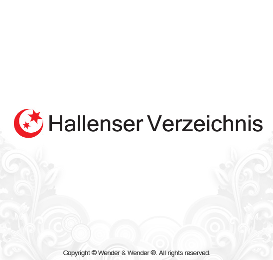 Logotipos - diseno logo hallenserver