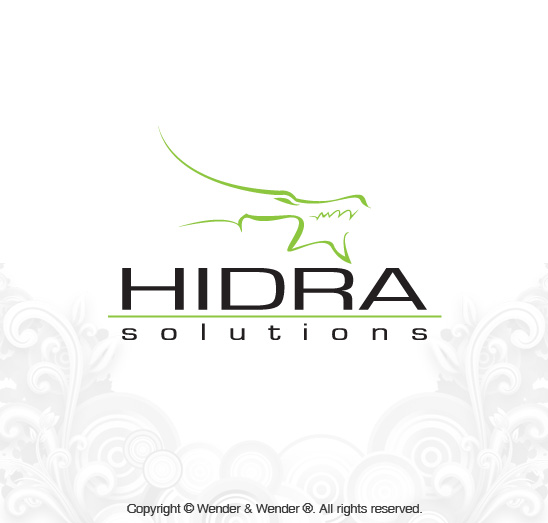 Logotipos - diseno logo hidrasolutions