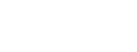 Wender & Wender Logo